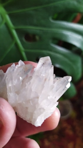Master Healer Quartz Crystal Cluster